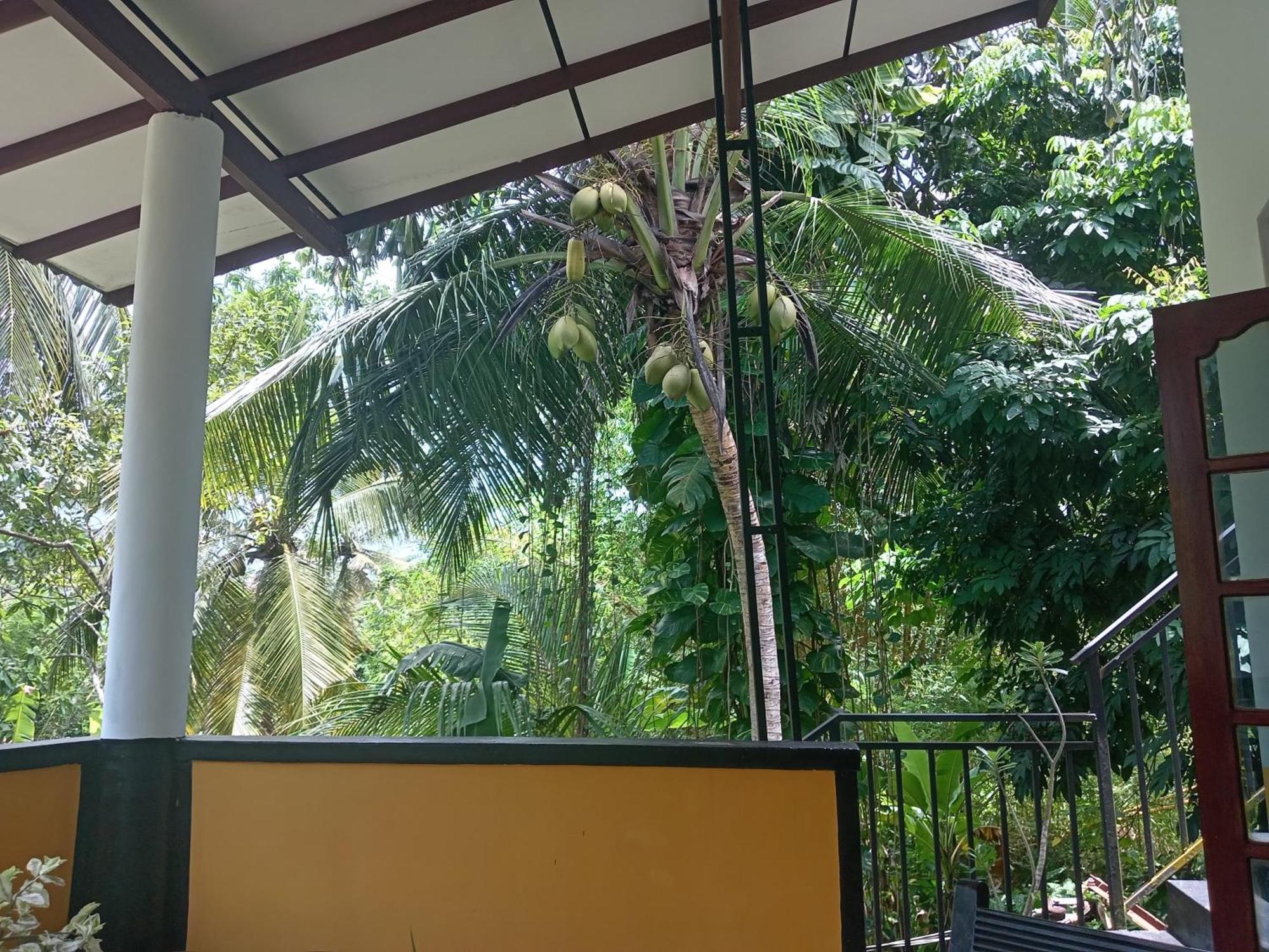 Freedom House Villa Unawatuna Exteriör bild
